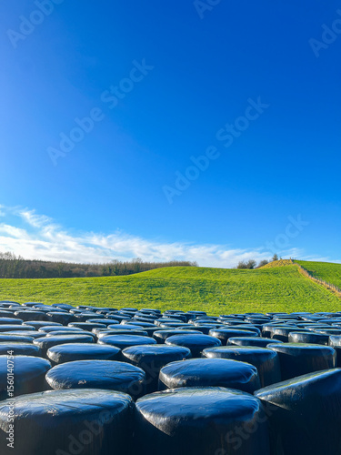 Silage bales in a green field under clear blue sky in County Westmeath, Ireland