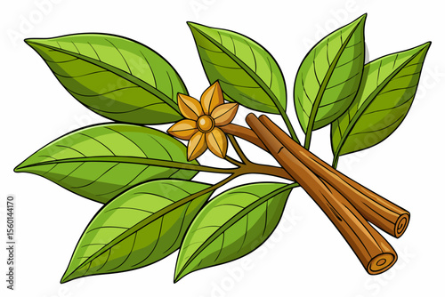 Ideal for food packaging, culinary blogs, natural health products, herbal medicine advertisements, and spice-related branding