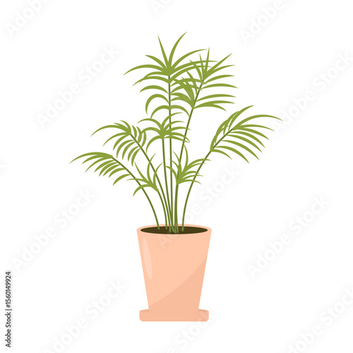 Tropical palm tree in a flower pot. Vector illustration of a houseplant, flat style.