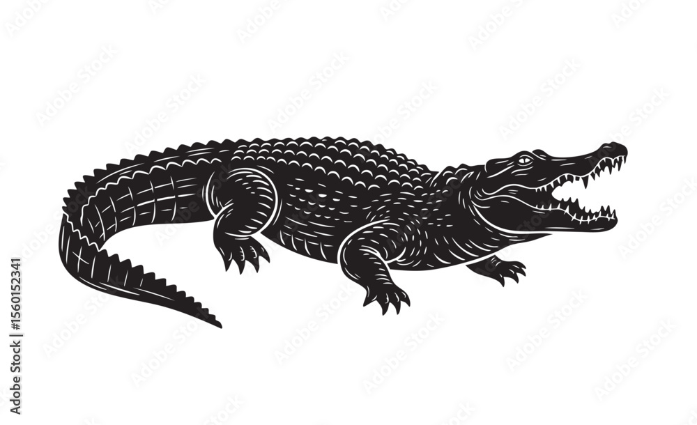 Fototapeta premium Vector of black and white illustration of a fierce crocodile with open jaws. Reptile.