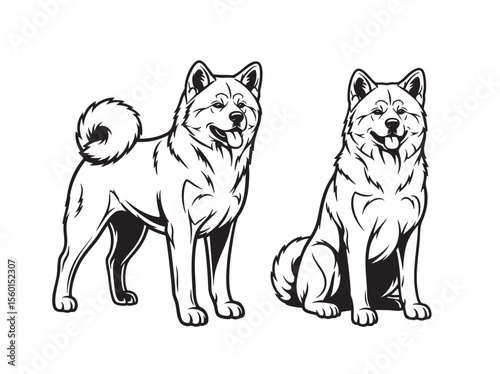 Vector of black and white illustration of two Akita Inu dogs, one standing and one sitting. Pet.