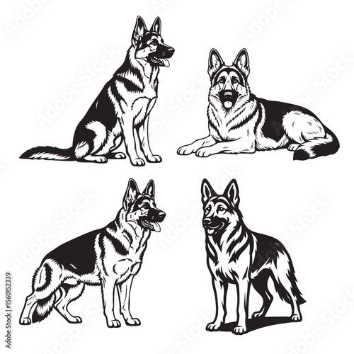Vector of black and white illustration set of four German Shepherd dogs in various poses. Pet.