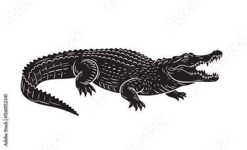 Vector of black and white illustration of a fierce crocodile with open jaws. Reptile.