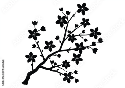 Cherry Blossom silhouette on white background