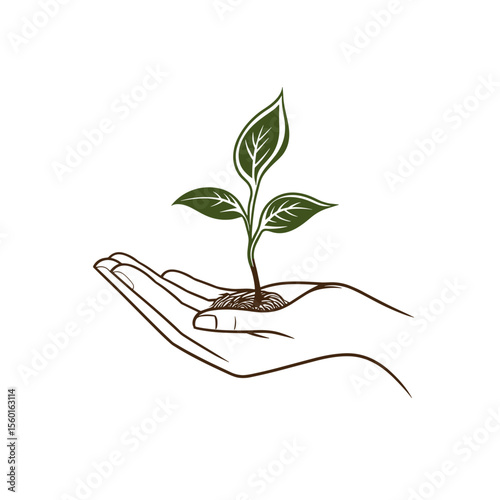 Hand holding green sprout with soil on white background