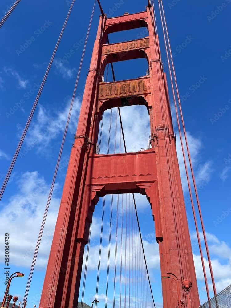 Fototapeta premium golden gate bridge