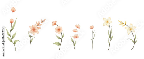 Wallpaper Mural Watercolor Assorted Floral Elements with Pale Peach Blooms and Green Leaves on Transparent Backdrop Torontodigital.ca