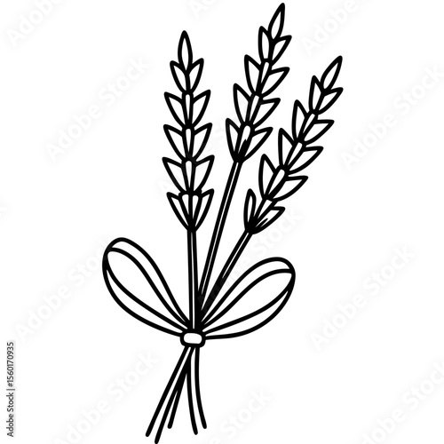 Minimalist Lavender Sprigs Vector Art