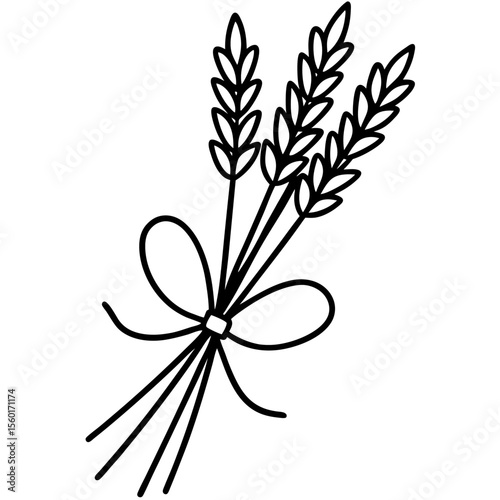 Minimalist Lavender Sprigs Vector Art