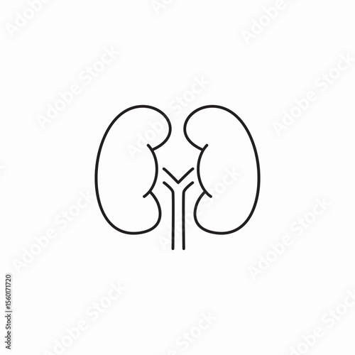 kidney organs icon sign vector