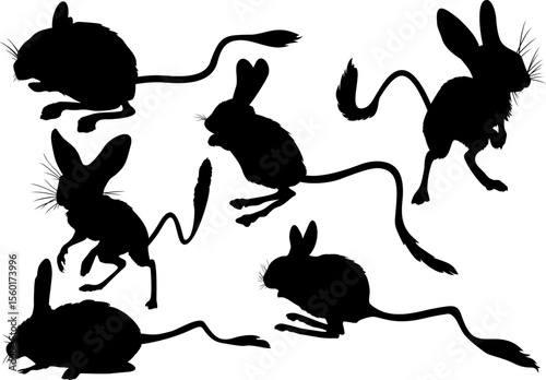 set of silhouettes of jerboa.eps