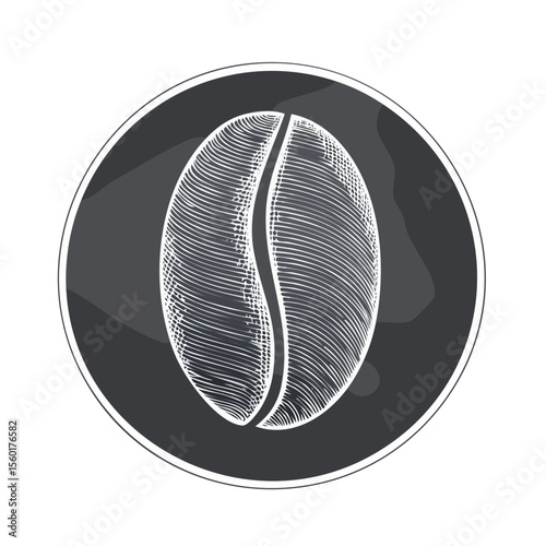 Isolated coffee bean on black background. Hand drawn coffee bean design, vector illustration