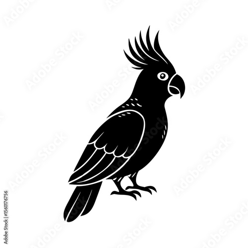 Elegant black cockatoo silhouette.  Sulphur-crested cockatoo illustration, *Cacatua galerita*,  perfect for zoology books, wildlife magazines, or nature posters.