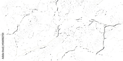 "High-resolution cracked wall texture with irregular fracture patterns and distressed surface. Ideal for grunge backgrounds, vintage design, architectural decay, or overlay effects"