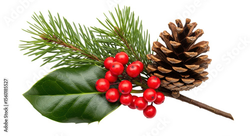 Isolated Christmas Decoration with Pine, Holly, and Cone