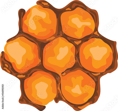 Honeycombs with honey, graphic image of beehives