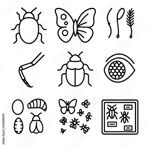 Insect Systematics Icons. Outline style icons of Insect Systematics: beetle silhouette, butterfly wing pattern, antenna types, leg