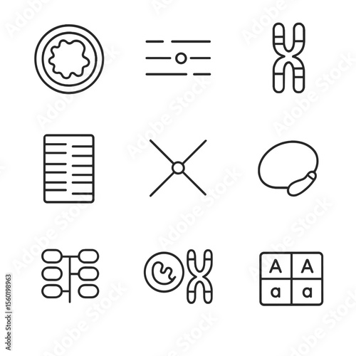 Genetic Icons Collection. Outline style icons of Genetic Markers in Systematics: mtDNA icon, SNP markers, chromosome band pattern,