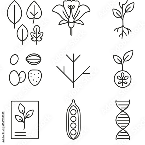 Plant Systematics Icons. Outline style icons of Plant Systematics: leaf types, flower anatomy, root system sketch, seed variation,