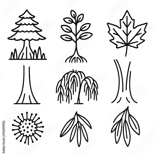 Swamp Tree Iconography. Outline style icons of Swamp Trees: bald cypress with knees, black gum tree, mangrove with prop roots,