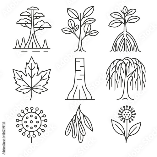 Swamp Tree Iconography. Outline style icons of Swamp Trees: bald cypress with knees, black gum tree, mangrove with prop roots,