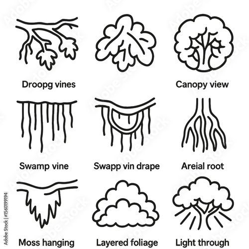 Swamp Canopy Outlines. Outline style icons of Swamp Tree Canopies: overhead tree limbs, leaf clusters, canopy view circle,
