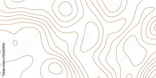 White wave paper curved reliefs abstract background, Topography map background. Vector geographic contour map. Abstract topographic contours map background