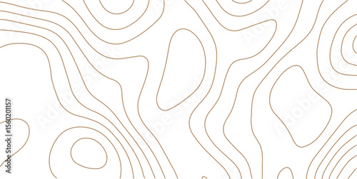 White wave paper curved reliefs abstract background, Topography map background. Vector geographic contour map. Abstract topographic contours map background