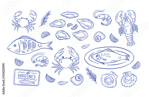 Set of hand draw Mediterranean seafood vector illustration. Oysters, lobster, crab, fish, scallop, sardine, shrimp clipart for menu, for restaurants, markets, shop. La dolce vita