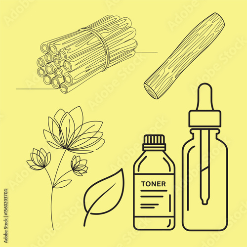 Natural skincare toner bundle organic ingredients