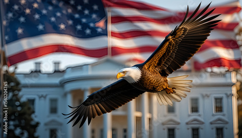 American bald eagle flying in front of white house with usa flag photo