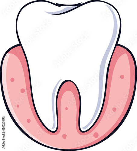 Cartoon illustration of a tooth and its surrounding gum tissue, highlighting dental health.