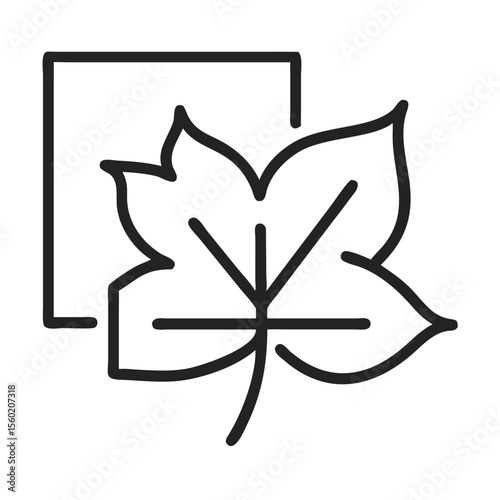 A minimalist line art design featuring a leaf overlaying a square, symbolizing nature and simplicity.