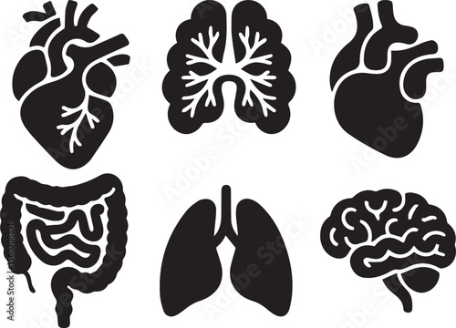 Human Lungs Icon  Respiratory Health Vector Illustration