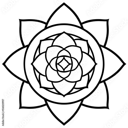 Floral Geometry
