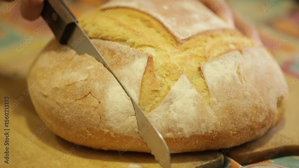Pão italiano redondo sendo cortado por mãos femininas usando uma faca de serra em camera lenta ou slow motion.