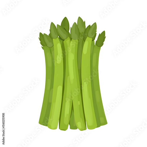 Fresh green asparagus stalks arranged in a bundle  