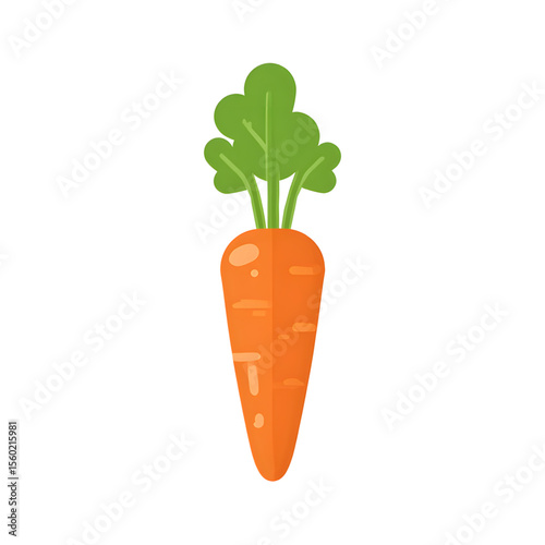 Fresh orange carrot with green leaves on white background  