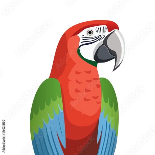 red and yellow macaw
