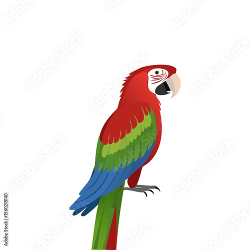 red and yellow macaw