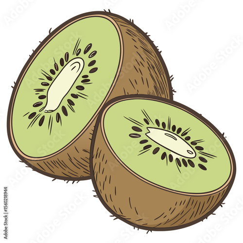 kiwi fruit isolated on white background