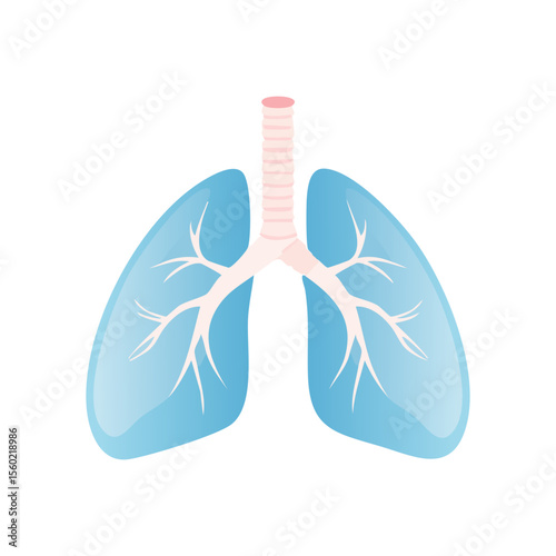 Healthy lungs not damaged by smoking. No tobacco day concept. Vector illustration