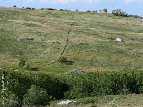 Trail Leading Up a Grassy Hill in Early Summer at Nose Hill Park, Calgary, Canada