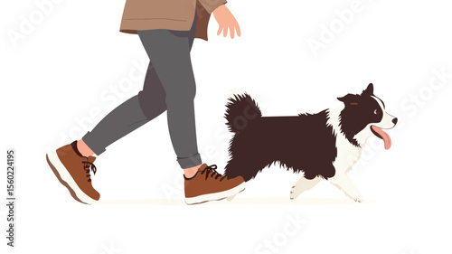 Border Collie Walking and Weaving Between Owner's Legs in Playful Interaction