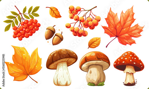 Autumn vector set with mushrooms, maple leaves, acorns, and berries. Bright cartoon illustration in warm fall colors on a clean white background