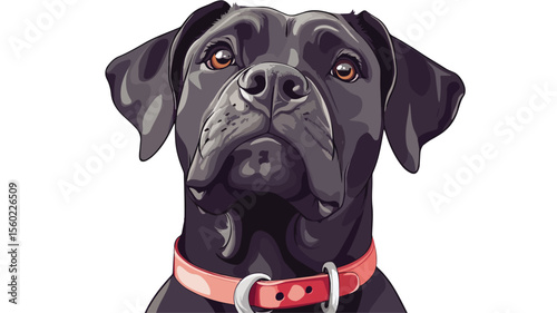 Happy Black Cane Corso Mastiff with Funny Muzzle - Cute and Playful Pet Portrait