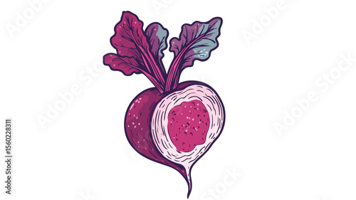 Fresh Beetroot with Leaf on Top, Sugar Beet Vegetable Illustration