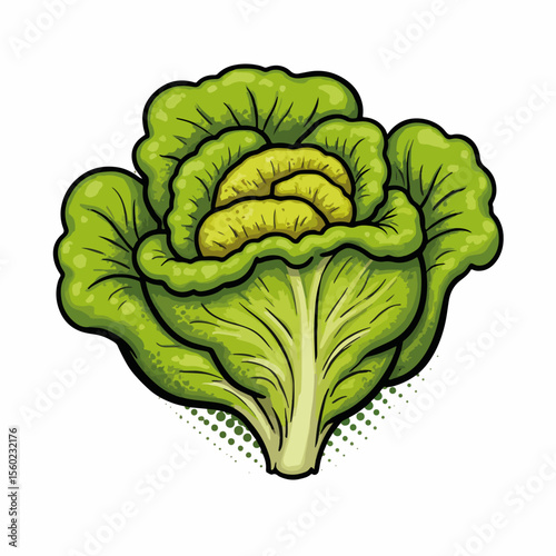 Fresh lettuce illustration with vibrant green leaves and textured details. Lettuce illustration showcases layers of crisp leaves, highlighting its freshness and natural appeal.
