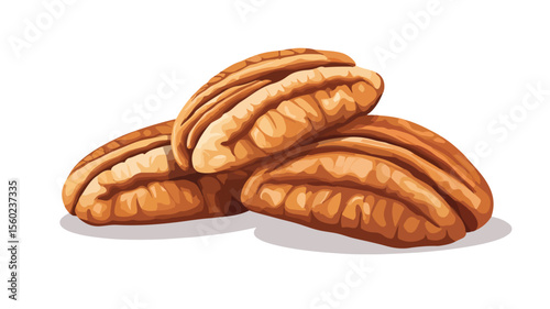 Fresh Raw Peeled Pecan Nuts Kernels on White Background for Healthy Vegetarian Snack