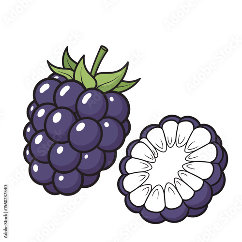 Delicious Blackberries A Close-Up Look at the Juicy Berry and its Cross-Section